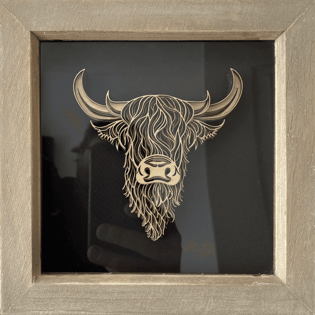 Highland Cow